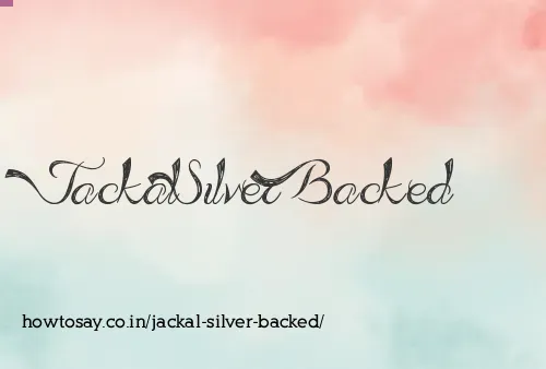Jackal Silver Backed