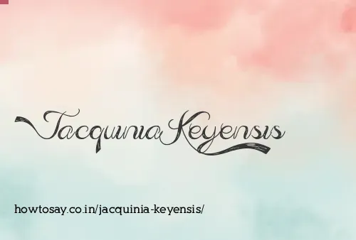 Jacquinia Keyensis