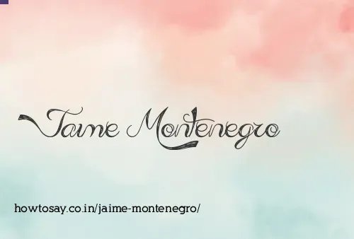 Jaime Montenegro