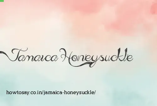 Jamaica Honeysuckle
