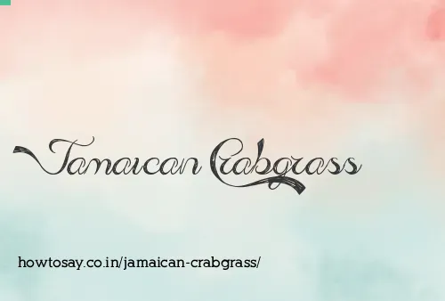 Jamaican Crabgrass