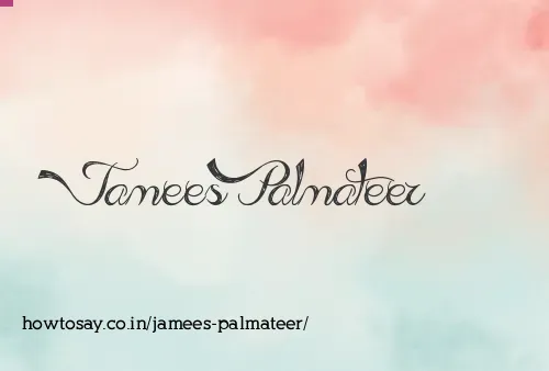 Jamees Palmateer