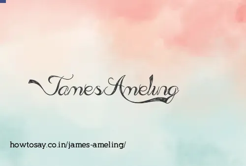 James Ameling