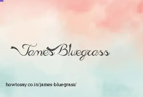 James Bluegrass