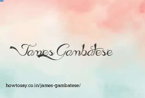 James Gambatese