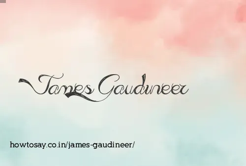 James Gaudineer