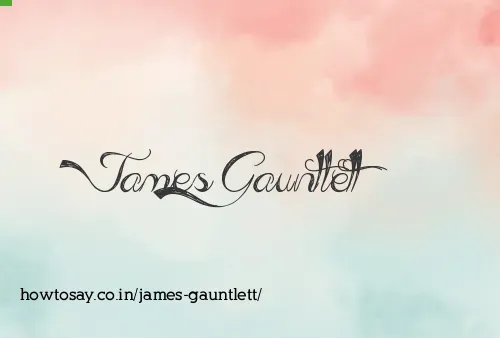 James Gauntlett