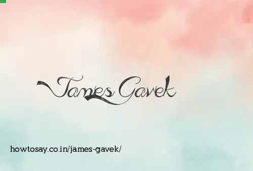 James Gavek
