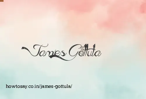 James Gottula