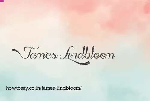 James Lindbloom