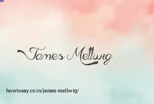 James Mellwig