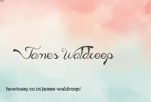 James Waldroop