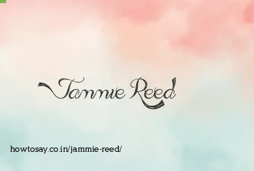 Jammie Reed
