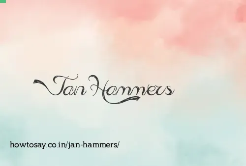 Jan Hammers