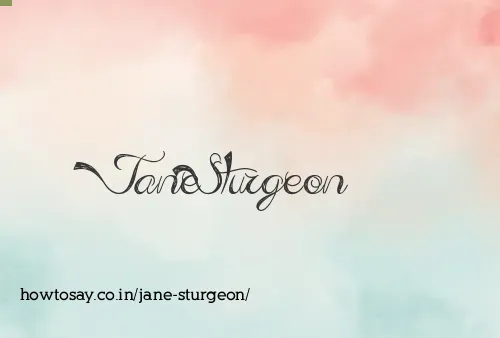 Jane Sturgeon