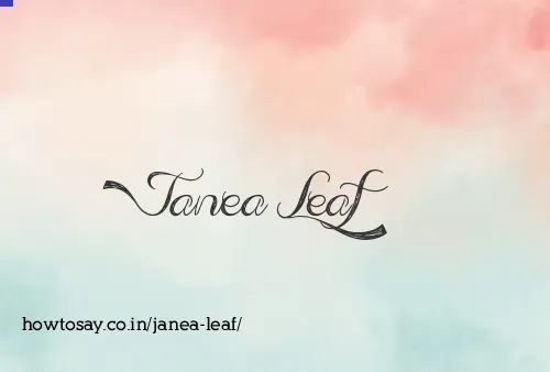Janea Leaf