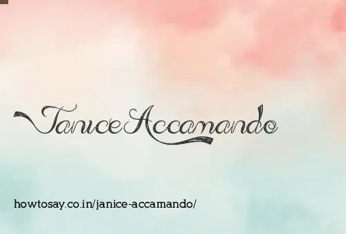 Janice Accamando