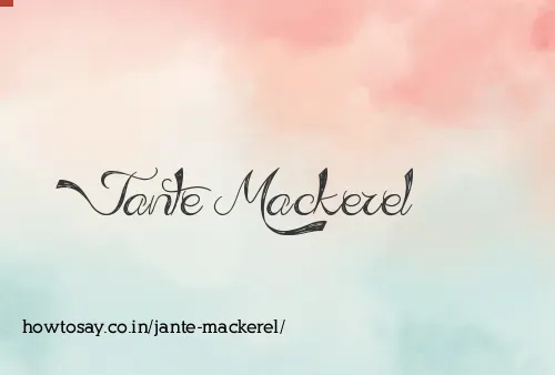 Jante Mackerel