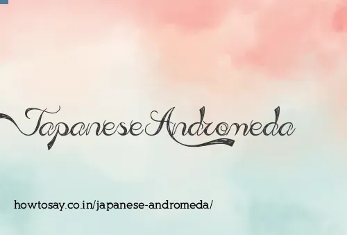 Japanese Andromeda