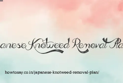 Japanese Knotweed Removal Plan
