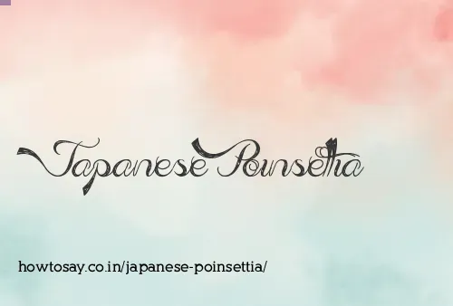Japanese Poinsettia
