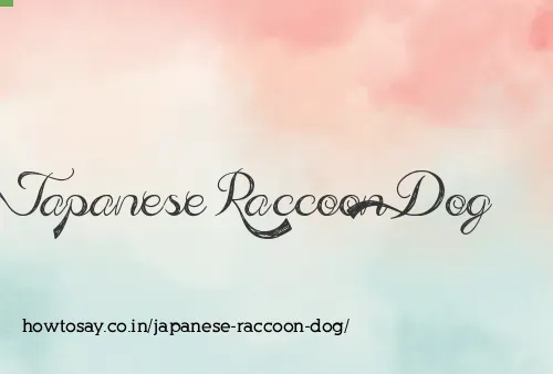Japanese Raccoon Dog