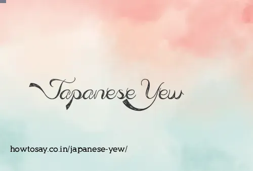 Japanese Yew