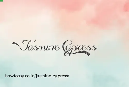 Jasmine Cypress