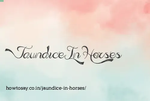 Jaundice In Horses