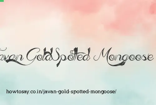 Javan Gold Spotted Mongoose