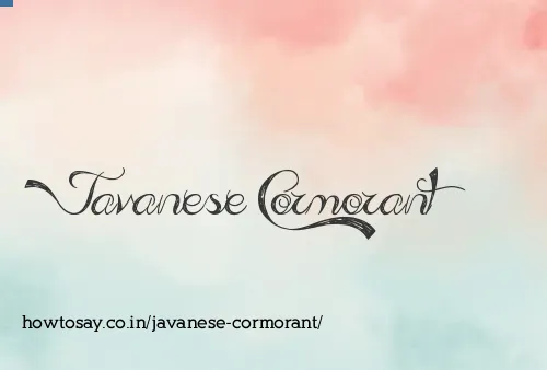 Javanese Cormorant