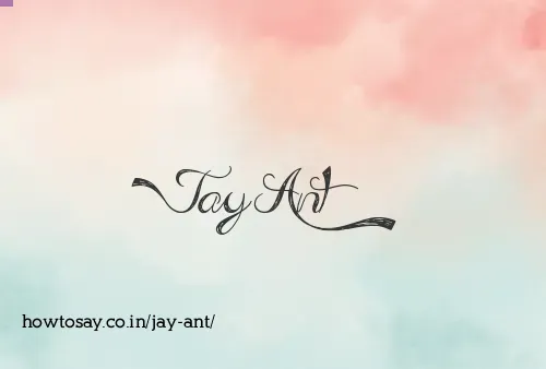Jay Ant