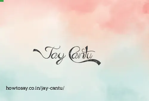 Jay Cantu