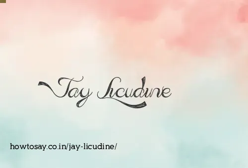 Jay Licudine