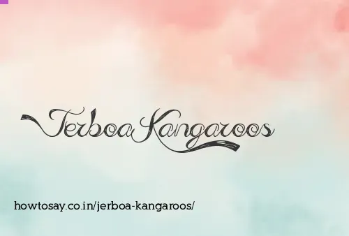 Jerboa Kangaroos