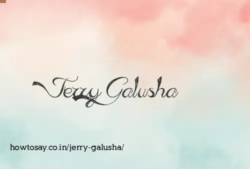 Jerry Galusha