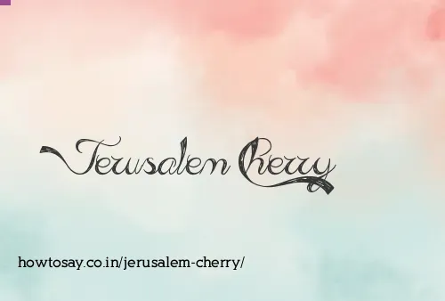 Jerusalem Cherry