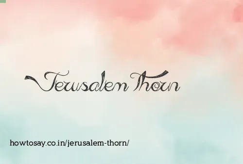 Jerusalem Thorn