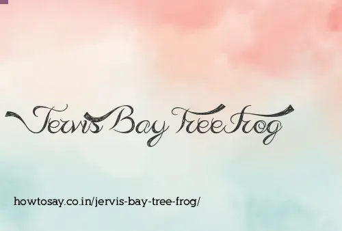 Jervis Bay Tree Frog