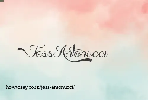 Jess Antonucci