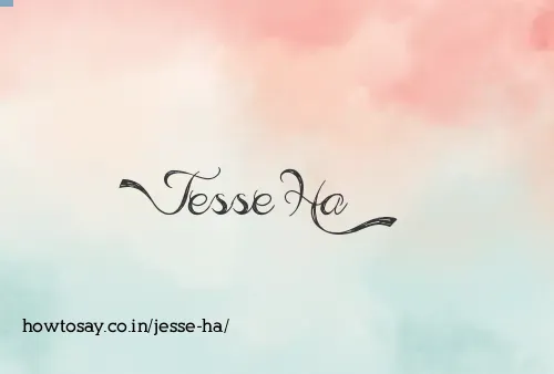 Jesse Ha