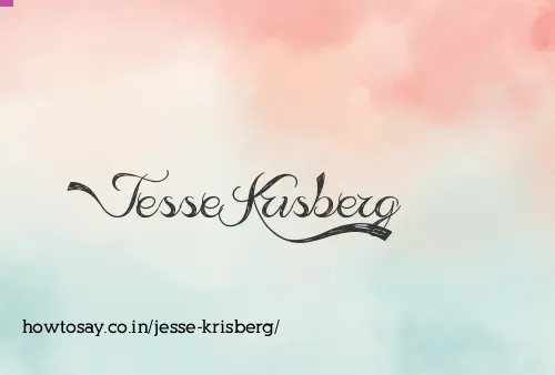 Jesse Krisberg