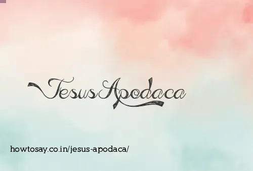 Jesus Apodaca