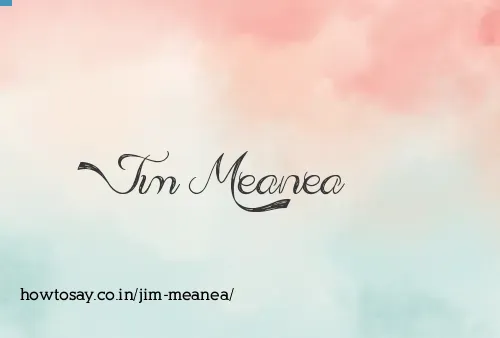 Jim Meanea