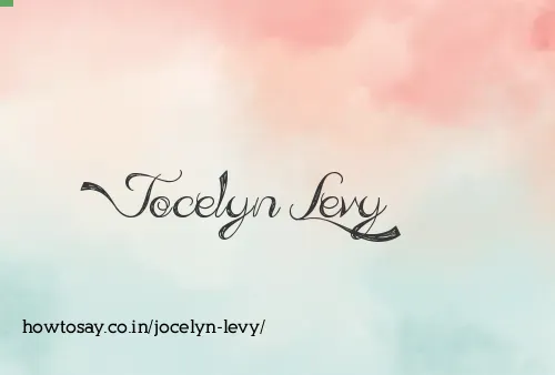 Jocelyn Levy