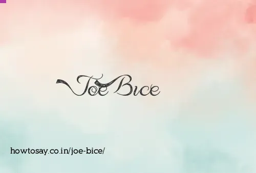 Joe Bice