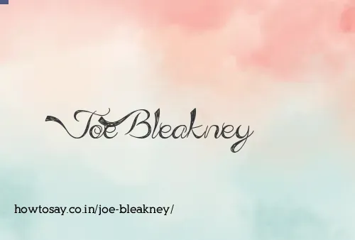 Joe Bleakney