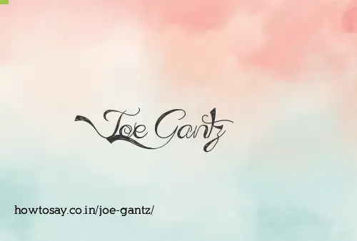 Joe Gantz