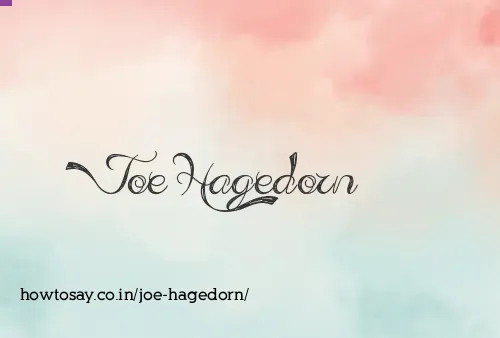 Joe Hagedorn