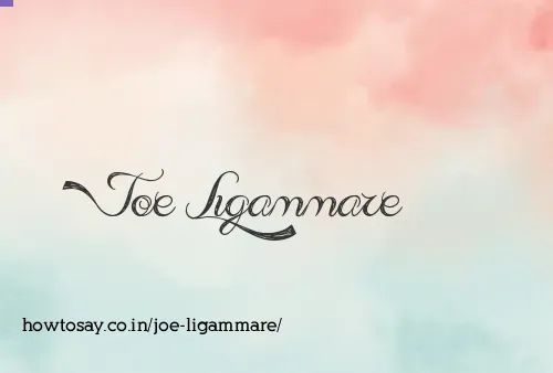 Joe Ligammare